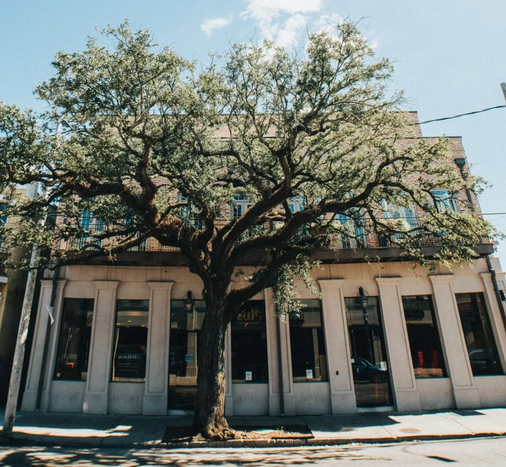 2802 Magazine building